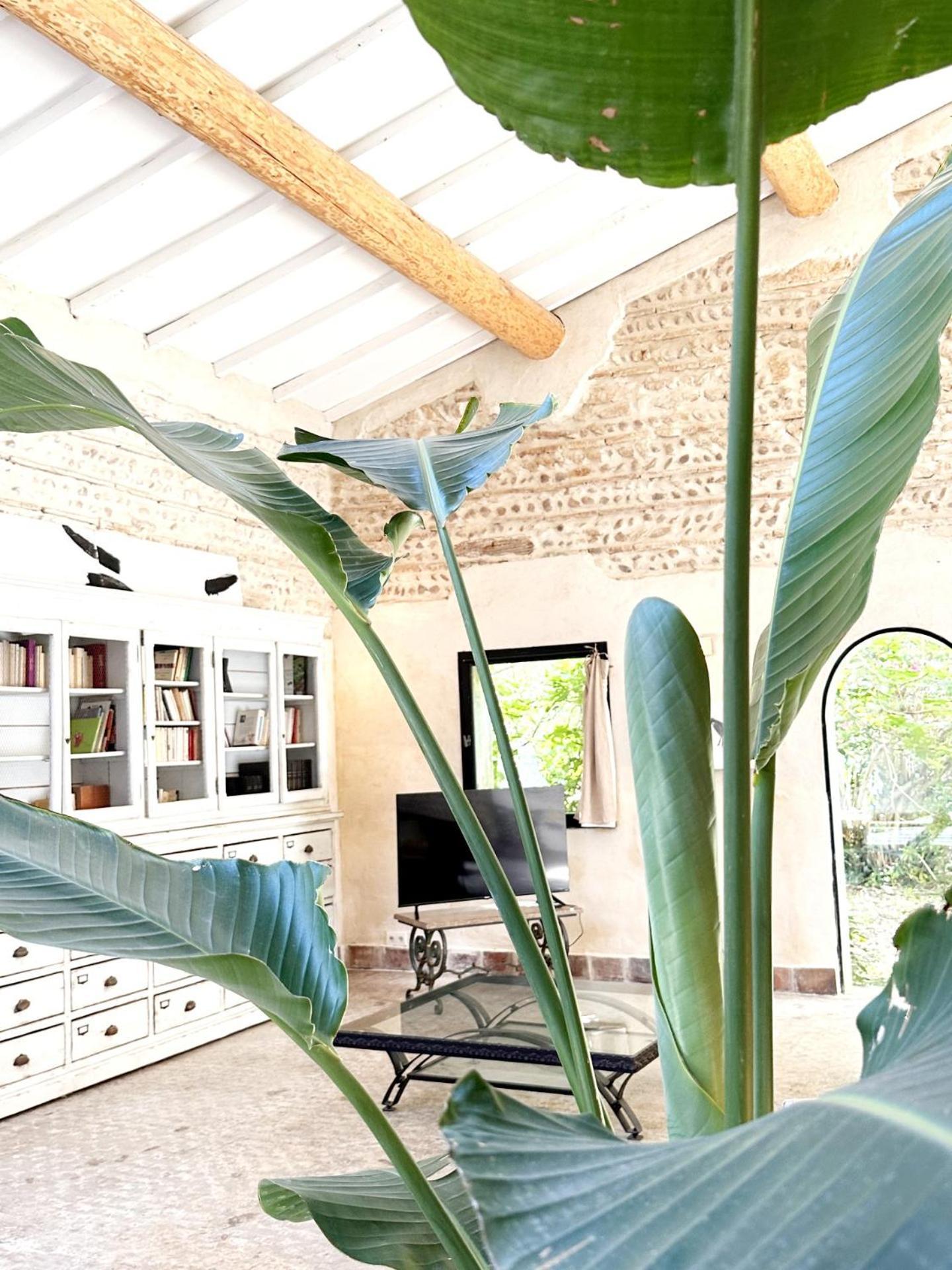 Magnifique Loft - Piscine - Tennis - Babyfoot Nîmes Zewnętrze zdjęcie